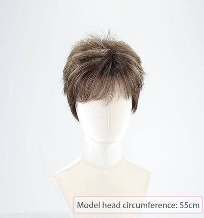 Doris - Pixie Boy Grey Short Synthetic Wigs